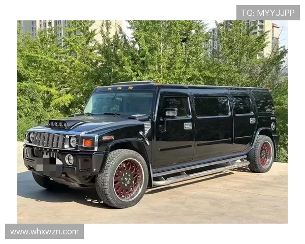 10米的加长悍马,内部可供10人在开小型Part,简直嗨翻了