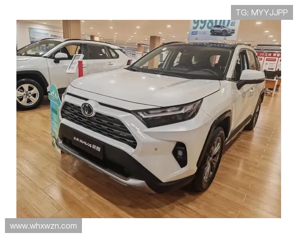11万多拿下丰田RAV4荣放,家用代步好选择